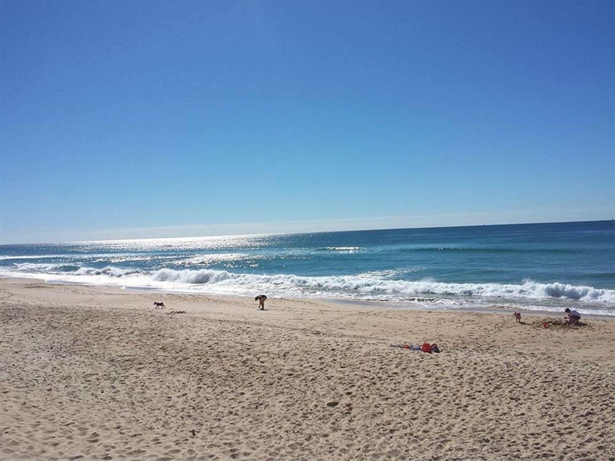 Surfside On The Beach Buddina Екстер'єр фото